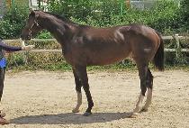 ť�ǵ座 (CUPID BELLE) ����