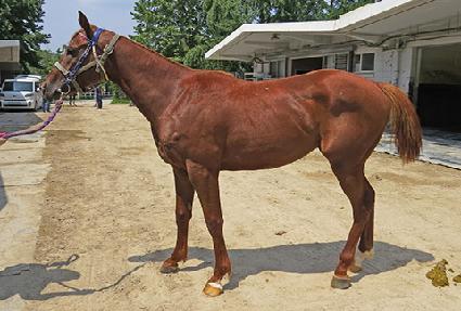 �Ѱ��Ǳ�� ����