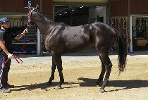 EUNSEONG MARU picture