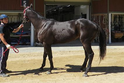 �������� ����