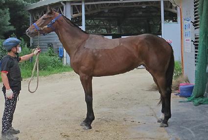 �۾Ϸ��� ����