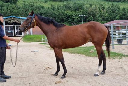 ���곪�� ����