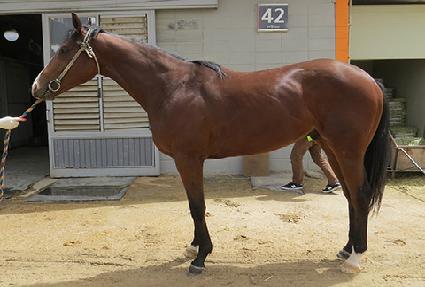 �¾縶 ����