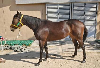 �ູ���Ծ� ����