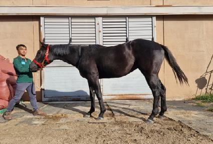 �������Ծ� ����