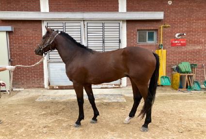 ���ο��Ծ� ����