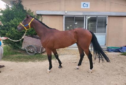 ������ŷ��Ÿ ����