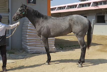 ȭ��ƮƮ���� ����