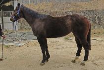 JEONGSEONG DAERO picture