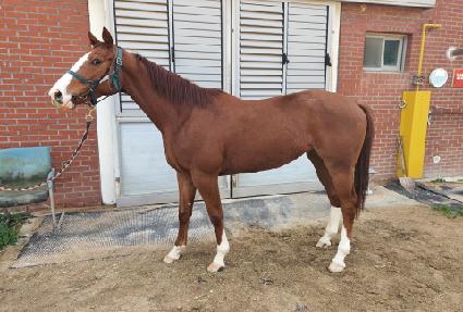 ��׹��� ����