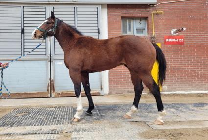 ����� ����