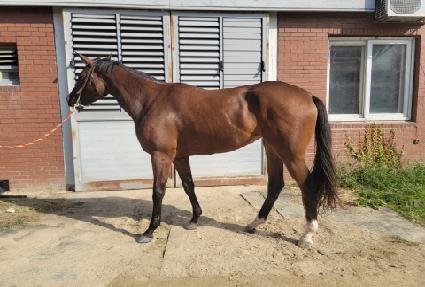 ��ī�̽� ����