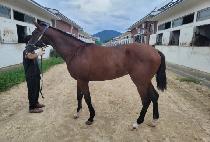 EONJENA YEONGUNG picture