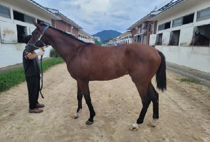 ���������� ����