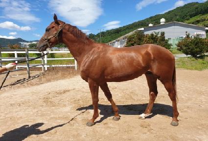 ���ϵ��м� ����