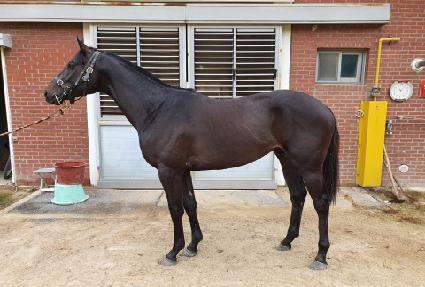 ������ ����