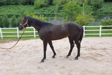 ŷ���͵��� ����