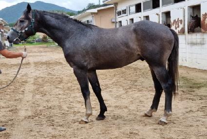 �Ѷ��� ����