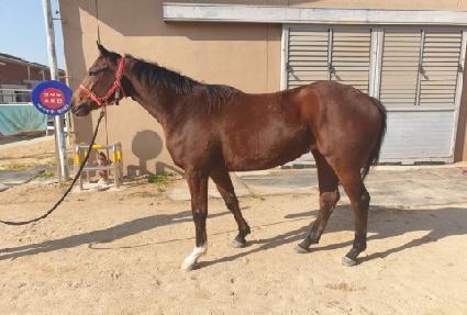 ��ȣ����� ����