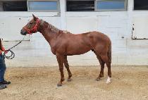 ���̽����� (NICE MAGIC) ����