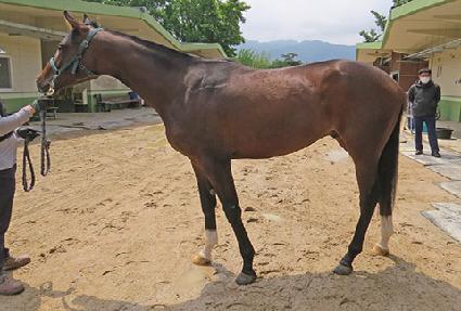 ������۽�Ʈ ����