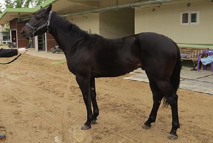 ����Ϸ�Ű ����