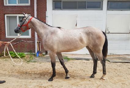 �۽�Ʈ������ ����