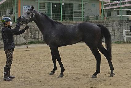 ��ü��ŷ ����