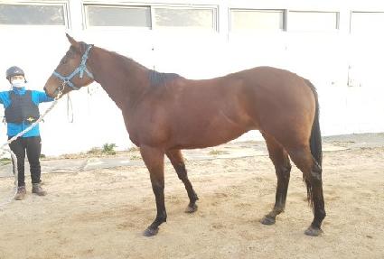 �Ľ��� ����