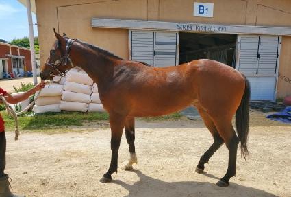 �������� ����