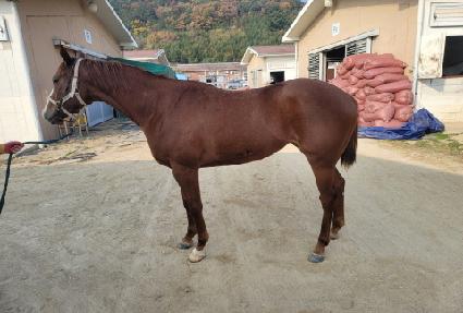 ����Ư�� ����