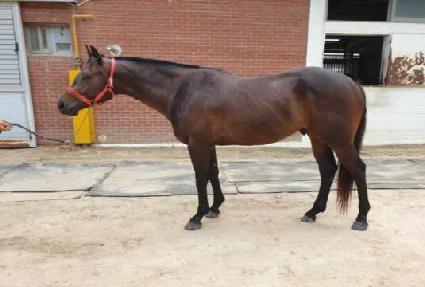 ���Ѵ� ����