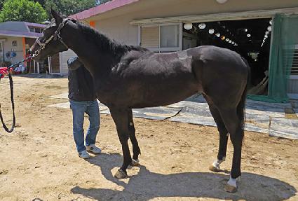 ������轺 ����