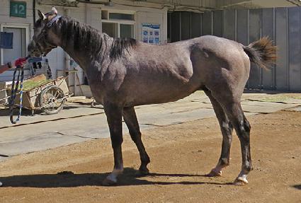 ���Դ����� ����