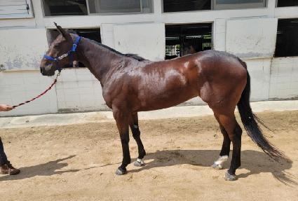 �ϳ�õ�� ����