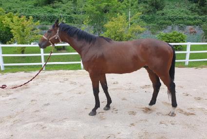 ��������� ����