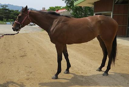 �ǿ������� ����