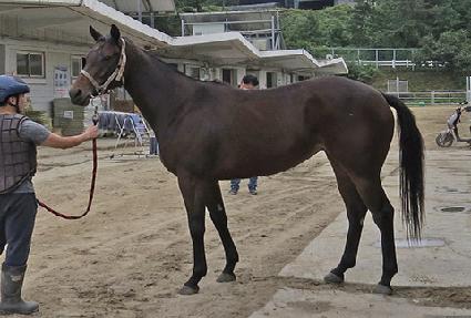 �ǿ��������� ����