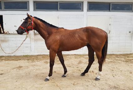 ĸƾ��Ű ����