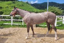 DOCTOR KONGSUNI picture