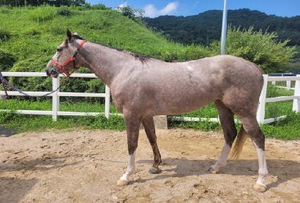 ��������� ����