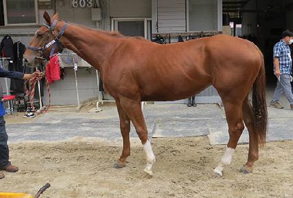 �Ź� ����