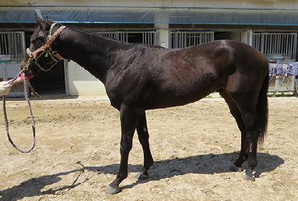 �۷ι����� ����