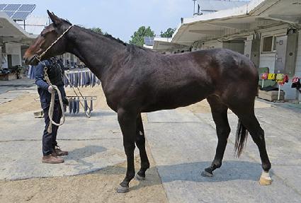 ������Ʈ ����