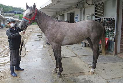 �ǿ�������ŷ ����