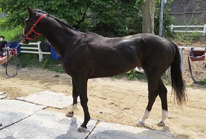 �ǿ��������� ����