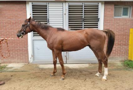 �׷���ŷ ����