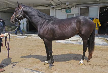 �Ѱ����� ����