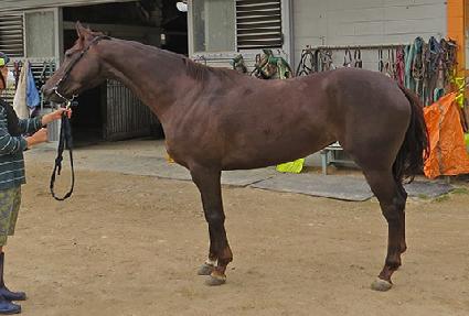 ���۴��̾� ����