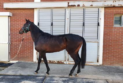 ������ ����